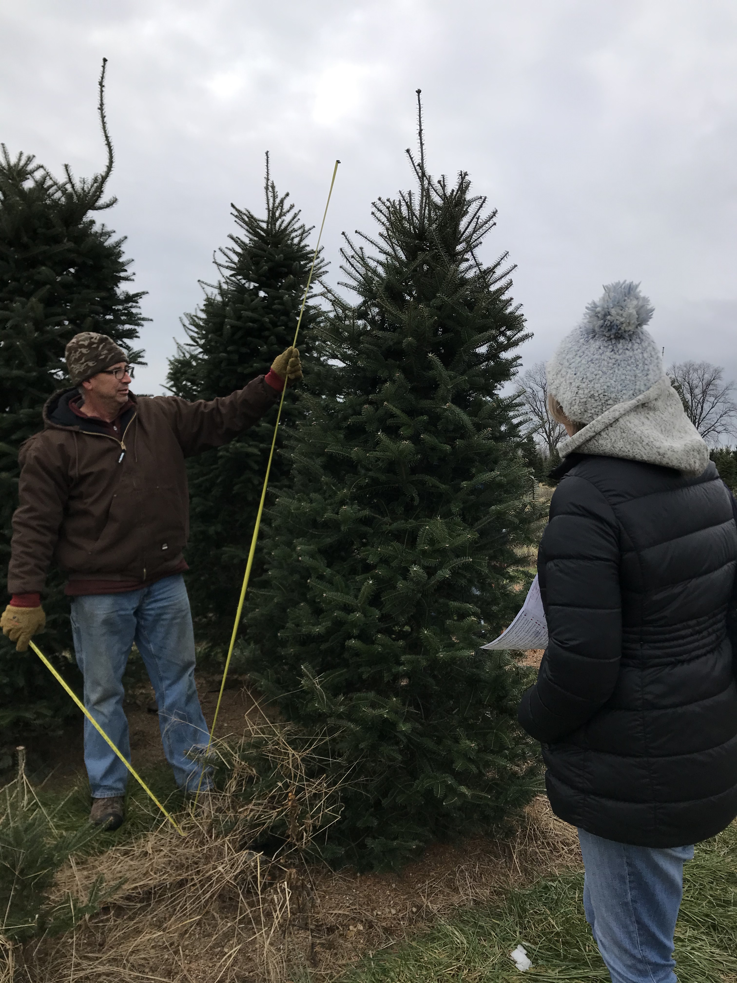 A man measures a Christmas tree with measuring tape.